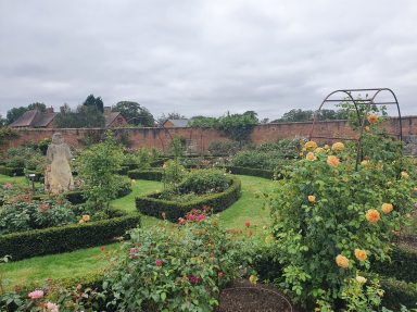 rose garden 1